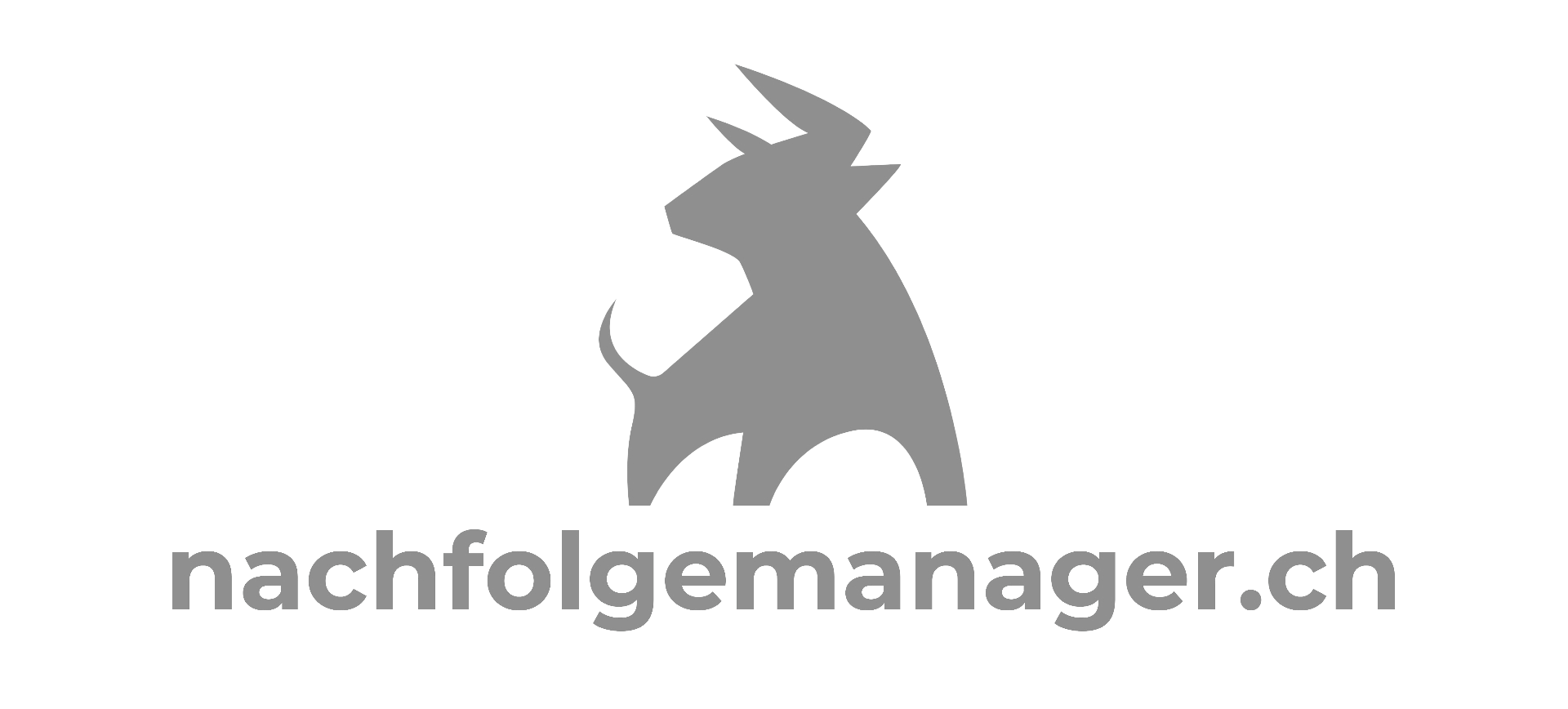 nachfolgemanager.ch